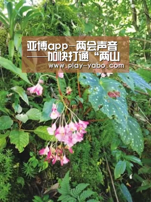 亚博平台