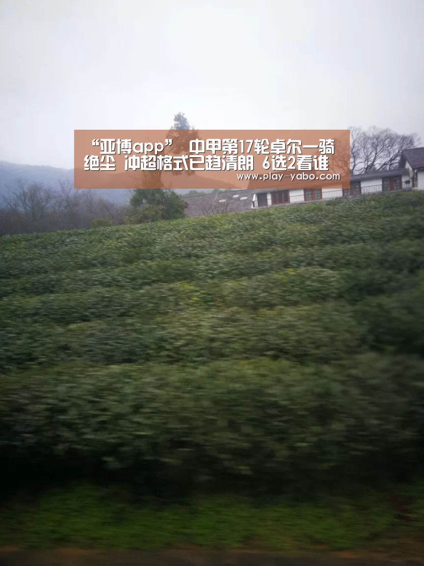 亚博app